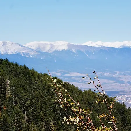Winslow Infinity And * Bansko