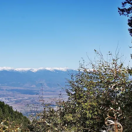 Winslow Infinity And Apartment Bansko